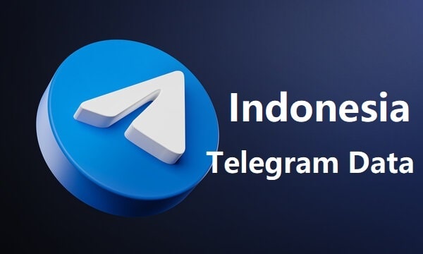 Indonesia Telegram Data-min
