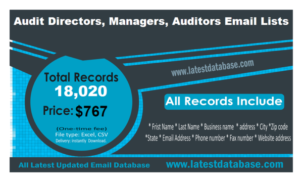 Audit Directors, Managers, Auditors Business Email Databases