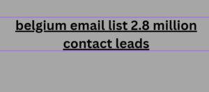 belgium email list 2.8 million contact leads