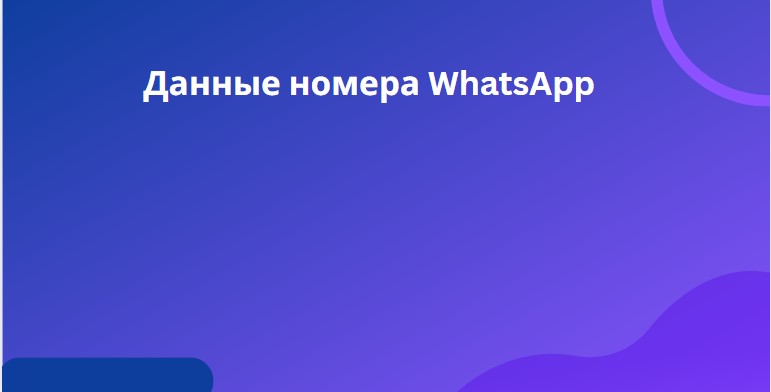 Данные номера WhatsApp