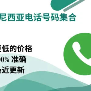 印度尼西亚电话号码集合
